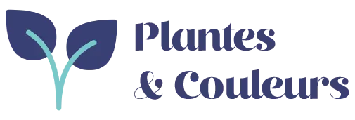 logo Plantes et Couleurs (3)