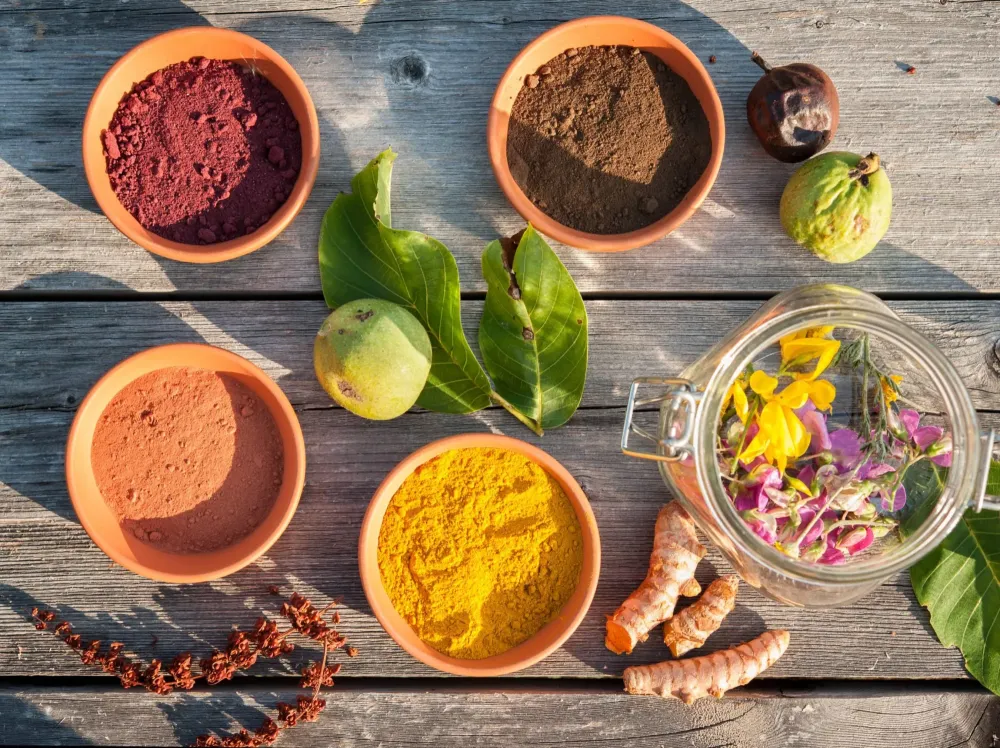 Botanique et chimie tinctoriale